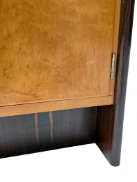 Art Deco Cabinet in Macassar and Birch by Gebroeders Reens Amsterdam, 1930s